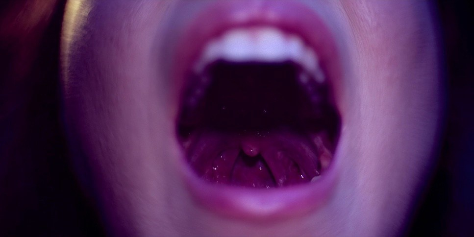 Color Theory. TENZO | Creative Producer / Art Director