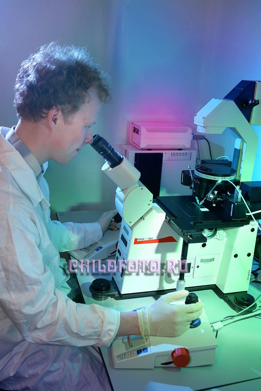 Институт Белка г. Пущино. Skazka.wfolio.pro