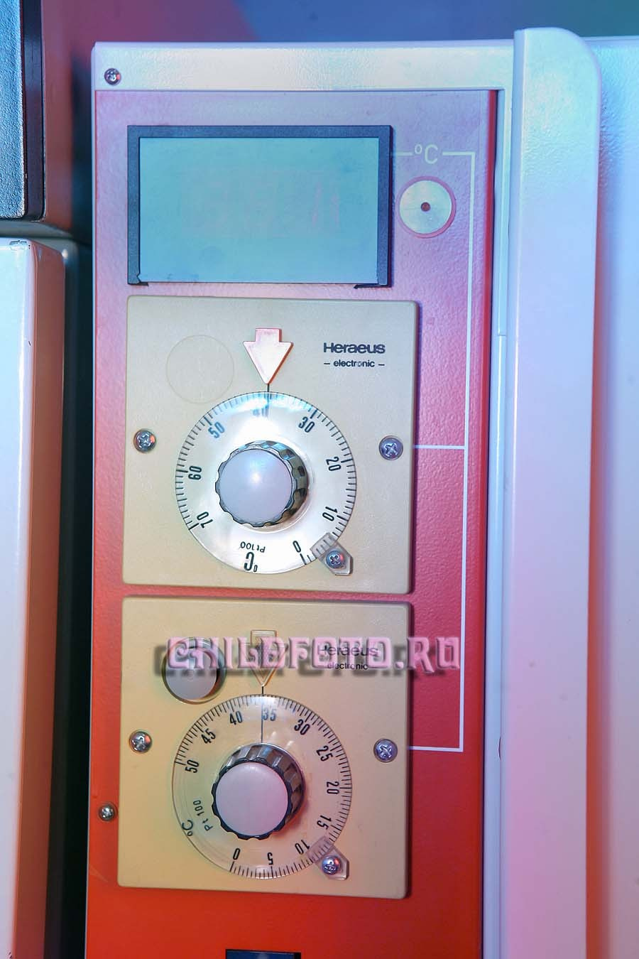 Институт Белка г. Пущино. Skazka.wfolio.pro