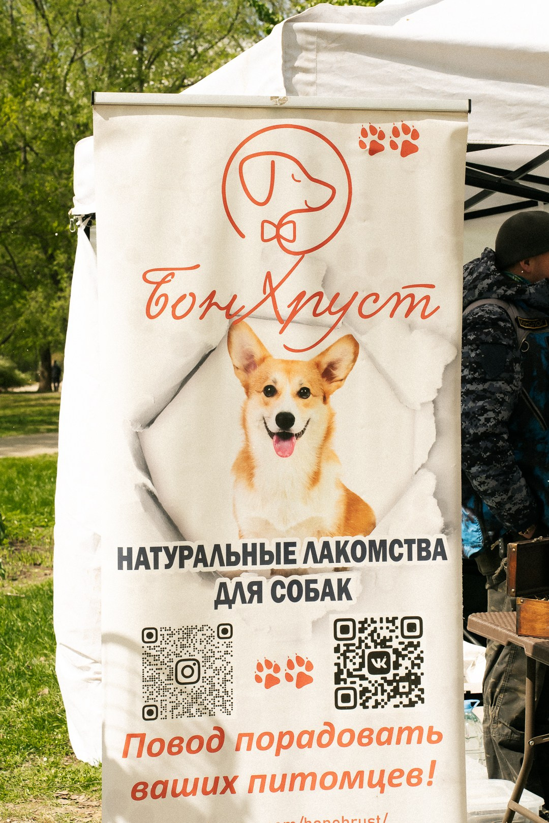 Парад Бульдогов. Axenov_eugene