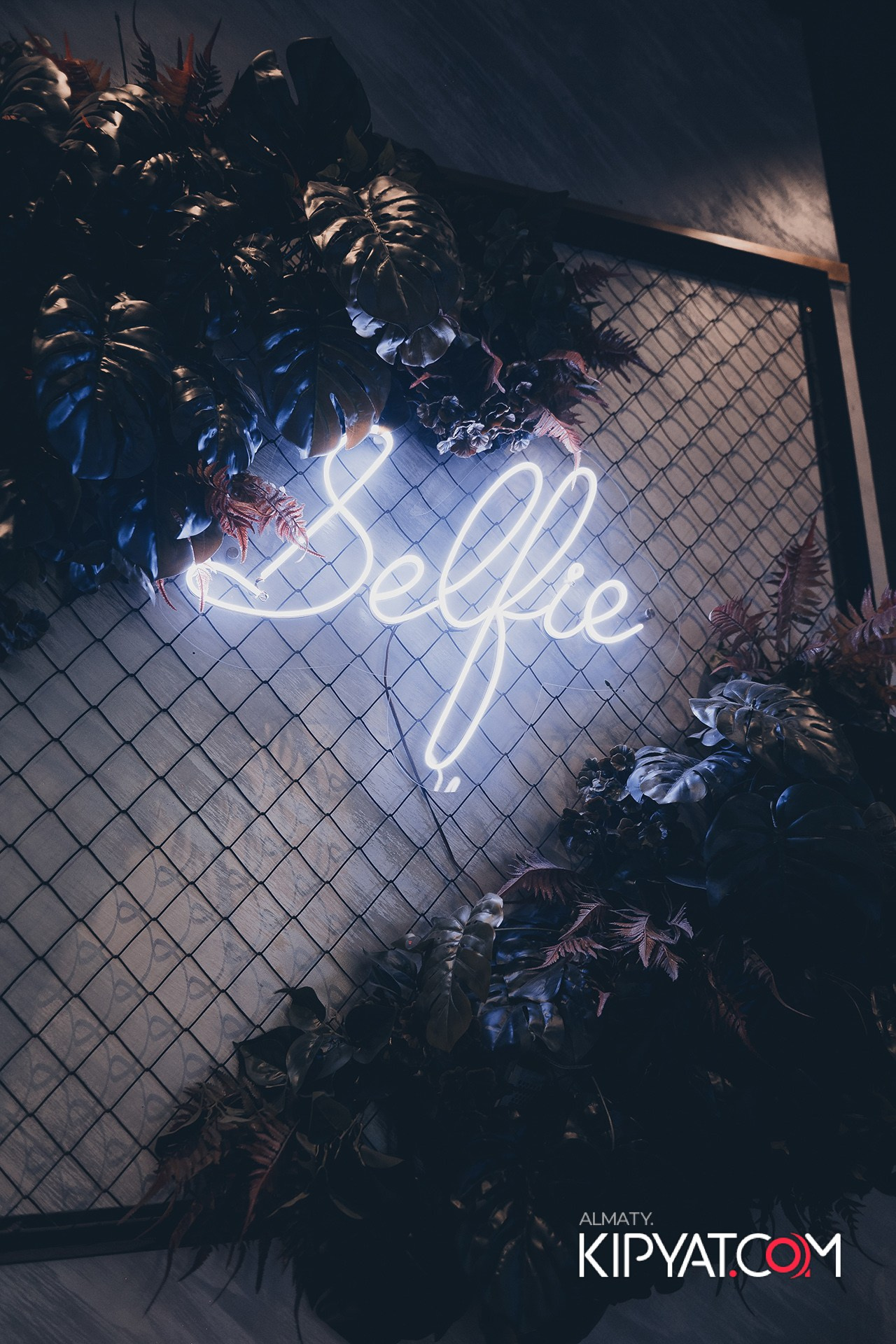 ДОРОГАЯ, Я НЕ ПИЛ. КИПЯТКОМ АЛМАТЫ!