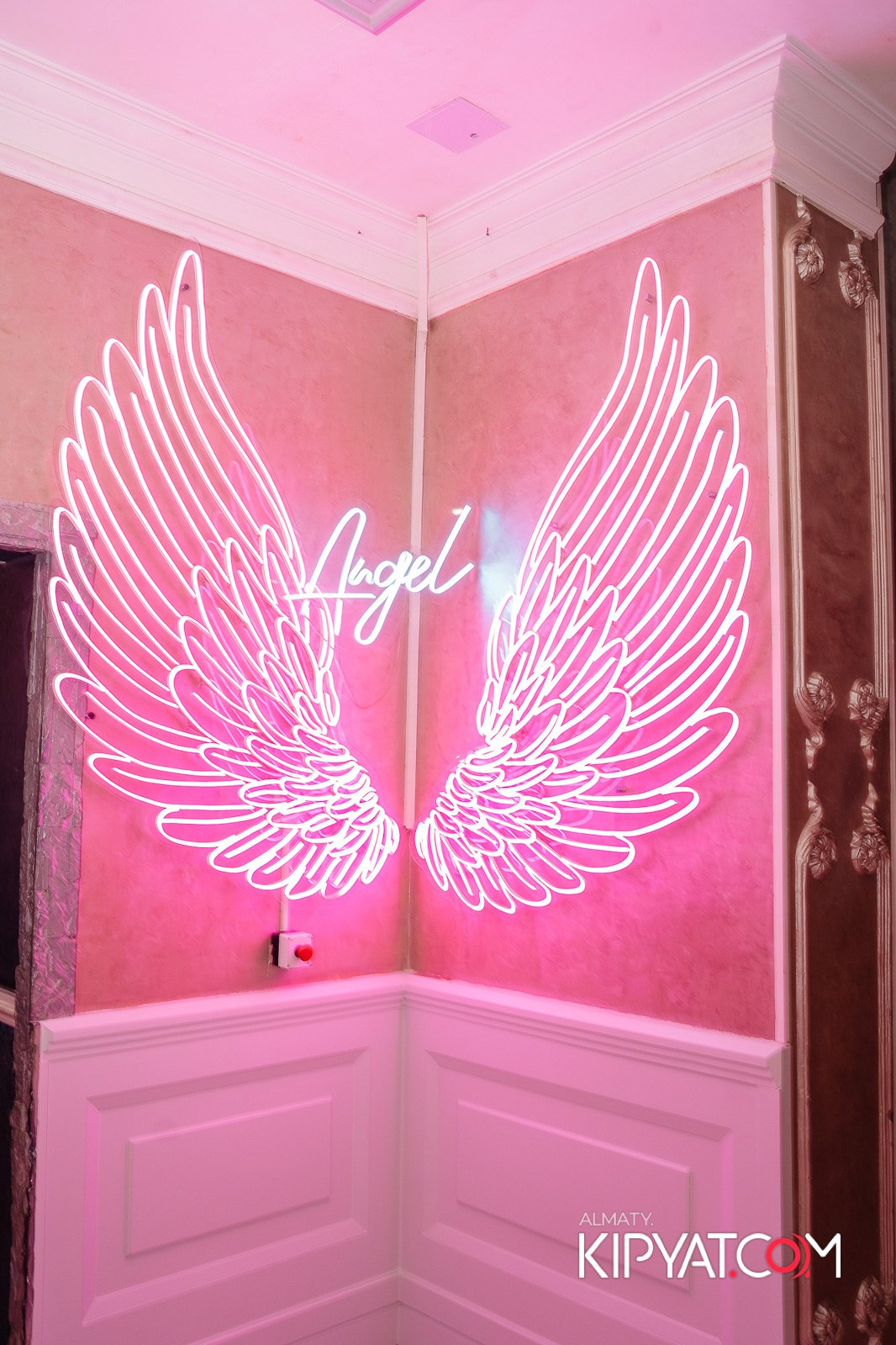 УХО И МЕДВЕДЬ НА КУРМАНГАЗЫ. КИПЯТКОМ АЛМАТЫ!