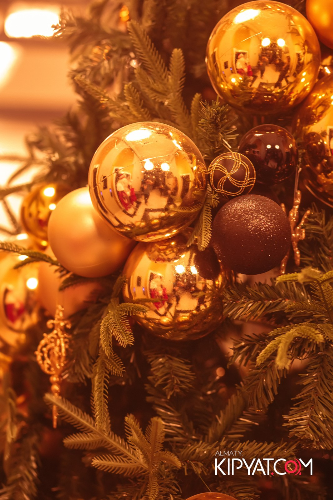 BARFLY. КИПЯТКОМ АЛМАТЫ!