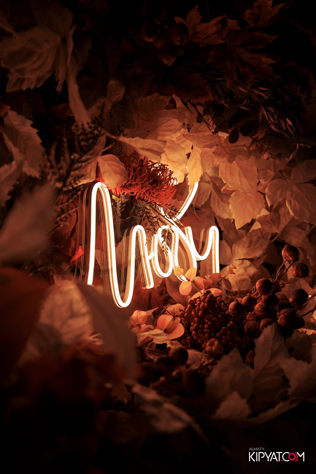 УХО И МЕДВЕДЬ НА КУРМАНГАЗЫ. КИПЯТКОМ АЛМАТЫ!