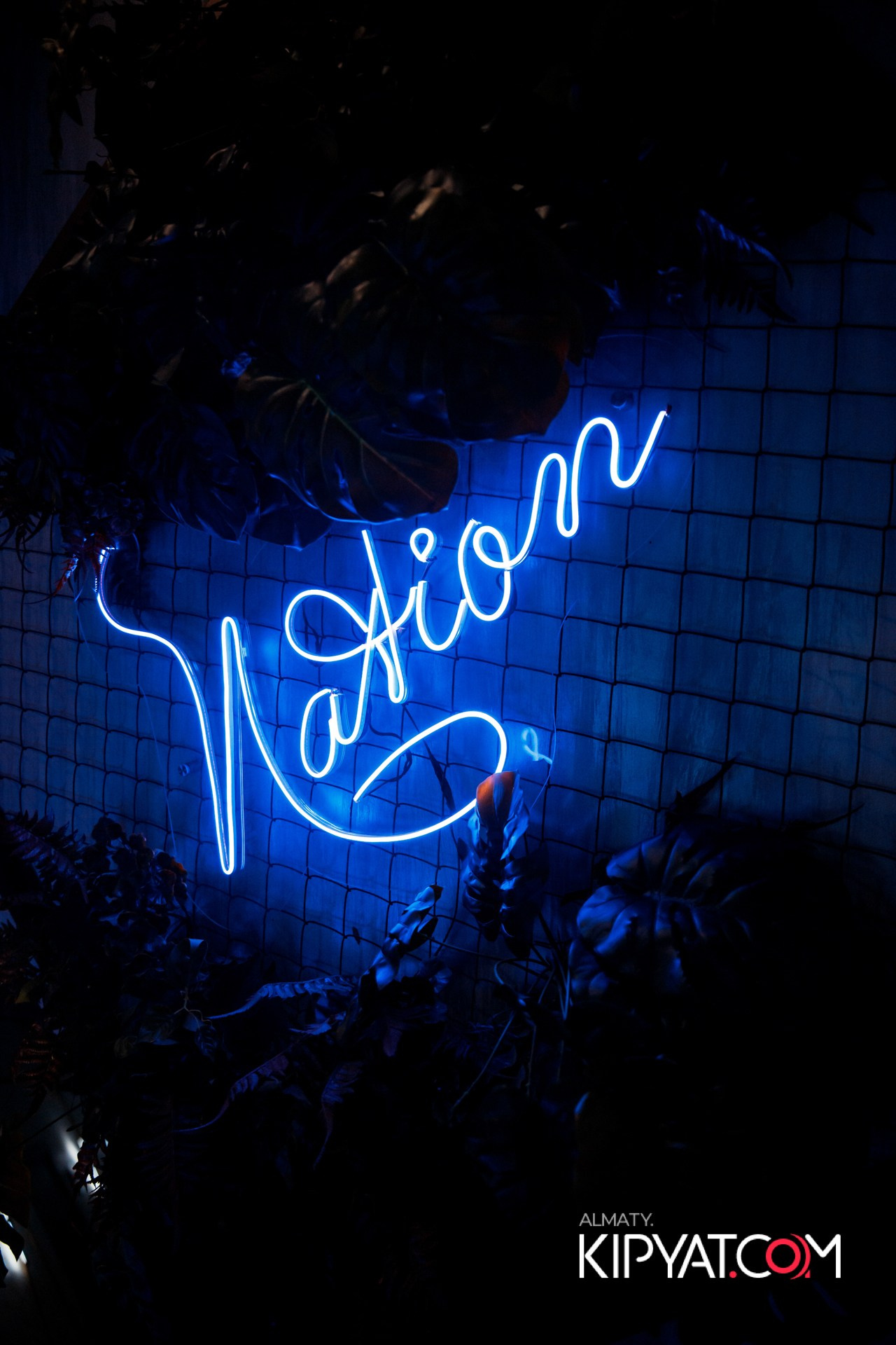 Дорогая я не пил. КИПЯТКОМ АЛМАТЫ!