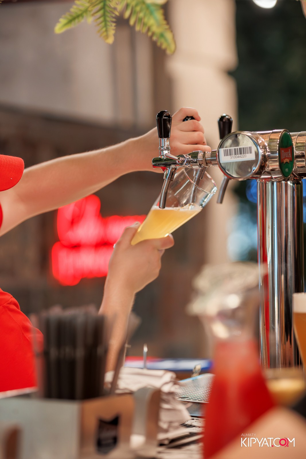 РЕСТОРАН EZO. КИПЯТКОМ АЛМАТЫ!