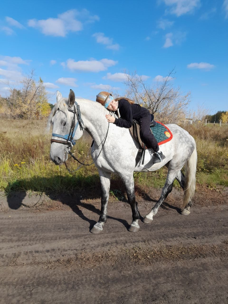 Фото наших лошадок. Конные прогулки в клубе «Анкор» — Омск