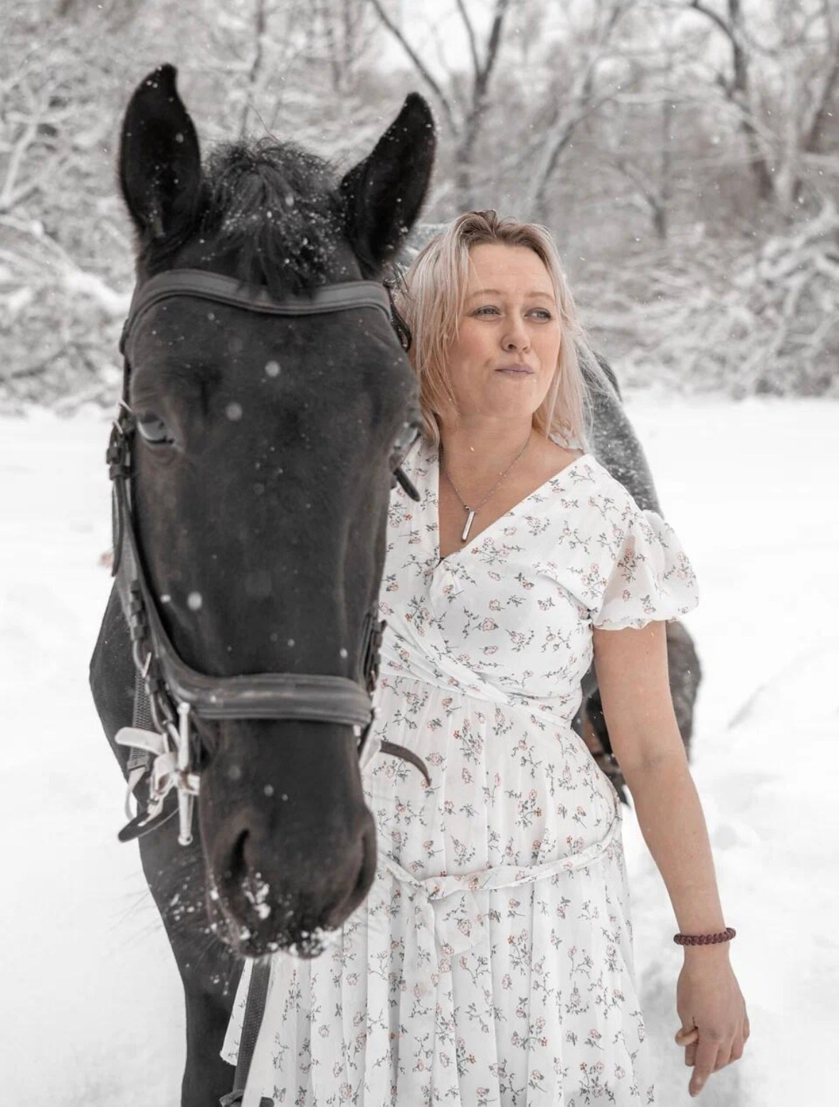 Лошадки зима. Фотограф Зинаида Евдокимова