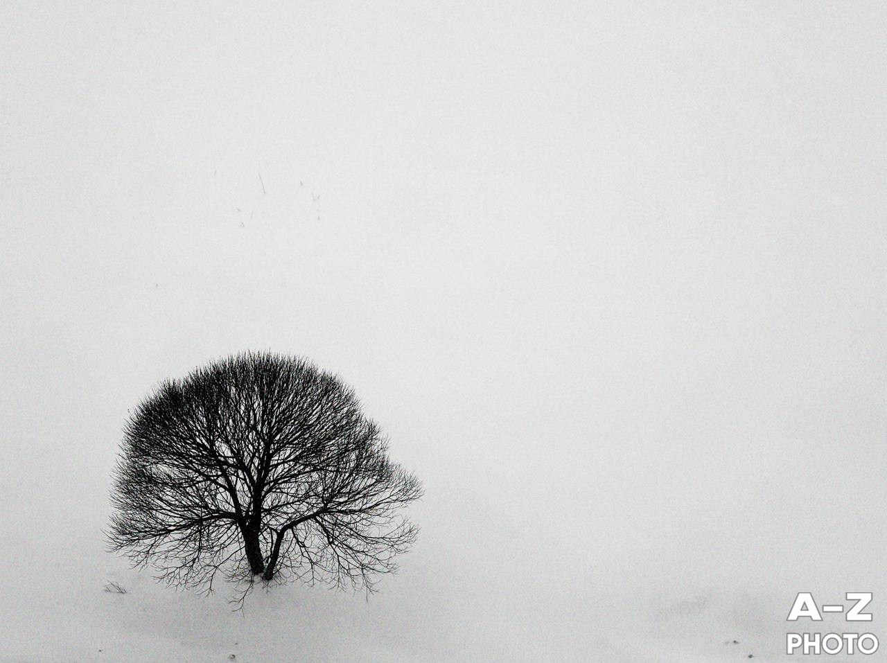 #ФОТОНЕДЕЛИ 09.02.2026. Женский семейный фотограф Тула Москва Захарова Анна