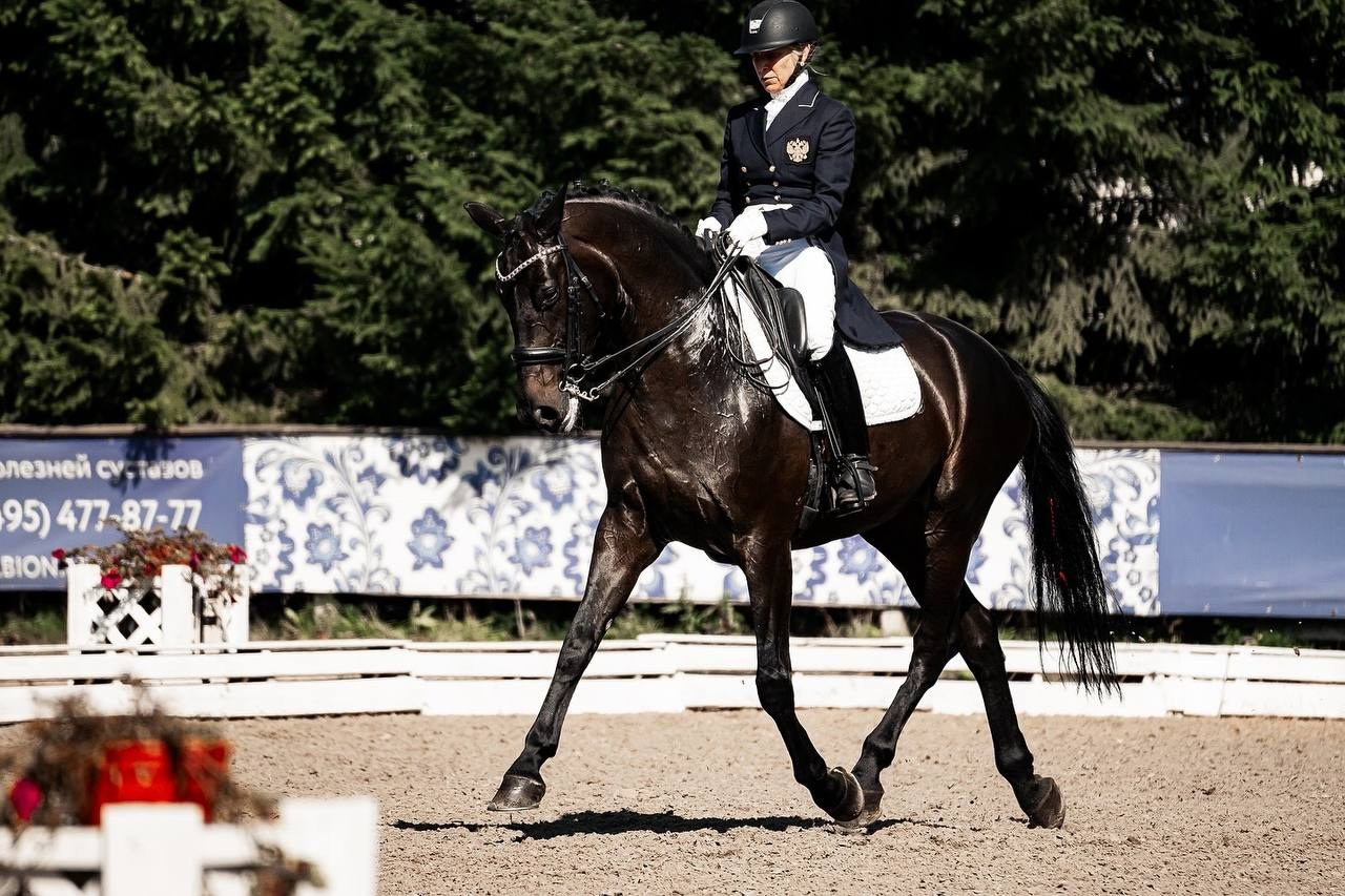 Кубок по ВЫЕЗДКЕ в КСК «РУССКИЙ АЛМАЗ» 8 этап. Куракина Дарья • Конный фотограф