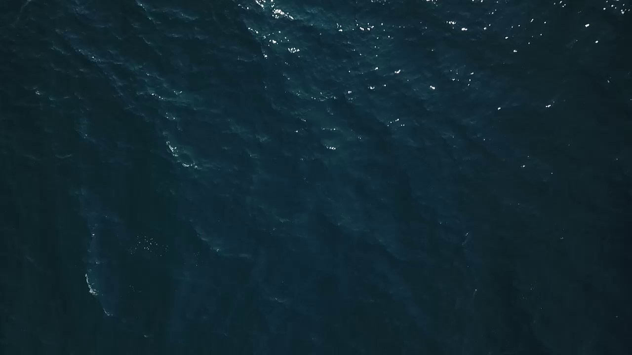 Видео Бизнес. Видеограф Добромыслов