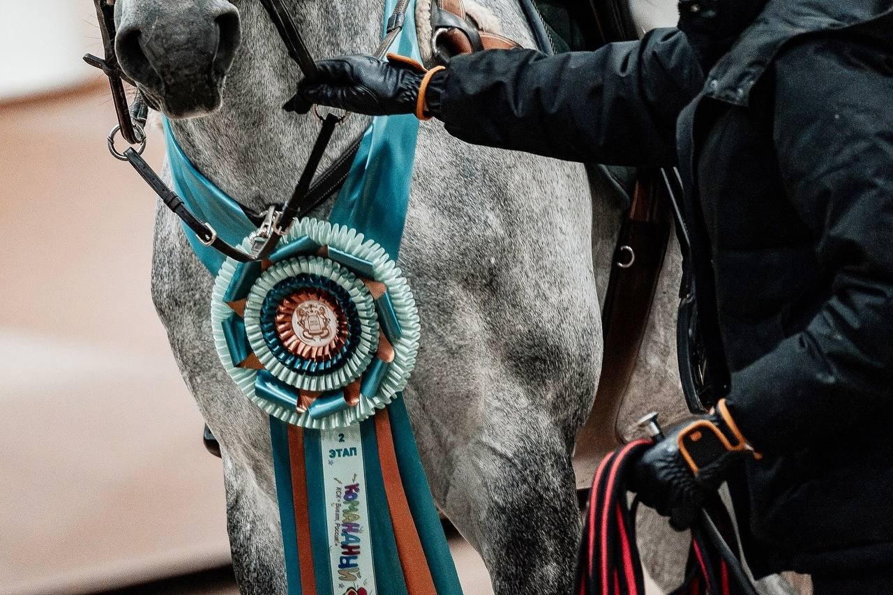 «КОМАНДНЫЙ БУМ», 2 этап КСК «ВИВАТ, РОССИЯ!». Куракина Дарья • Конный фотограф
