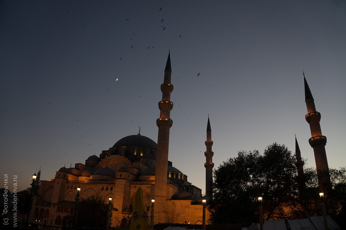 Стамбул, Турция. Анна Леденева Фотограф
