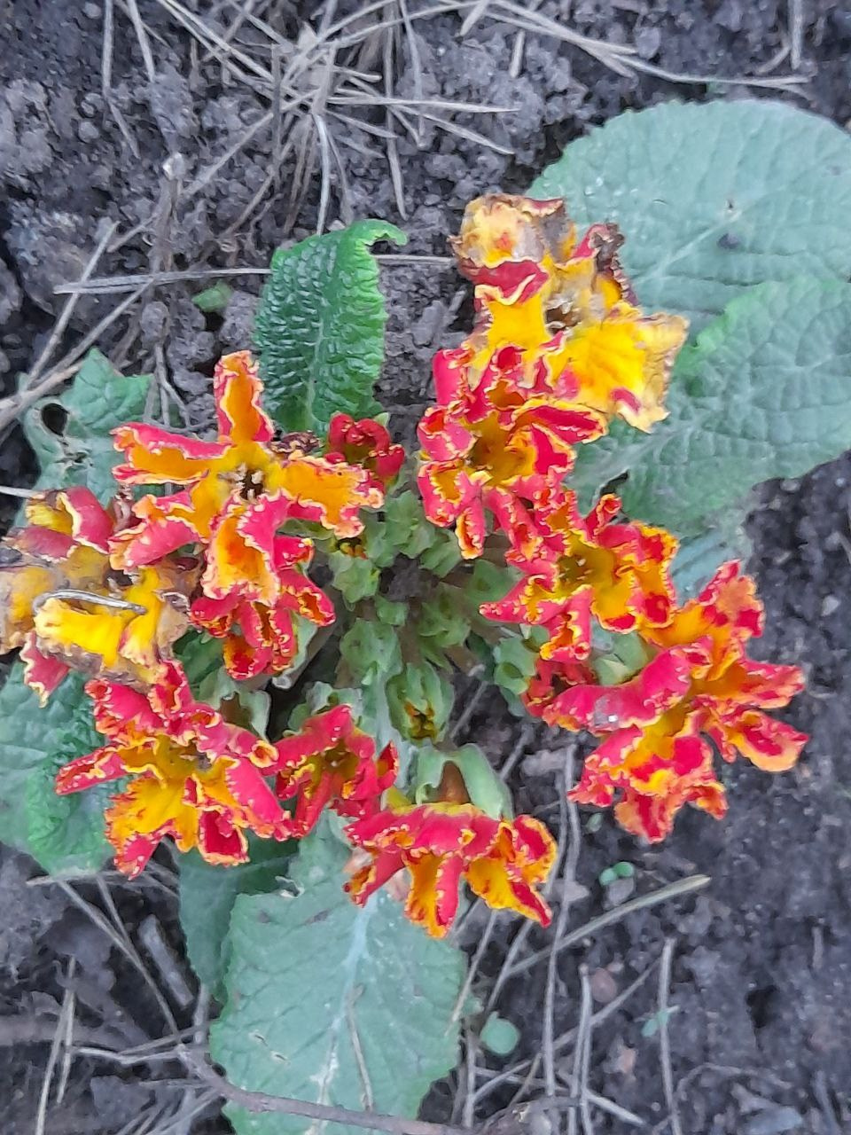 Пасха 2025. Собор Отрасли