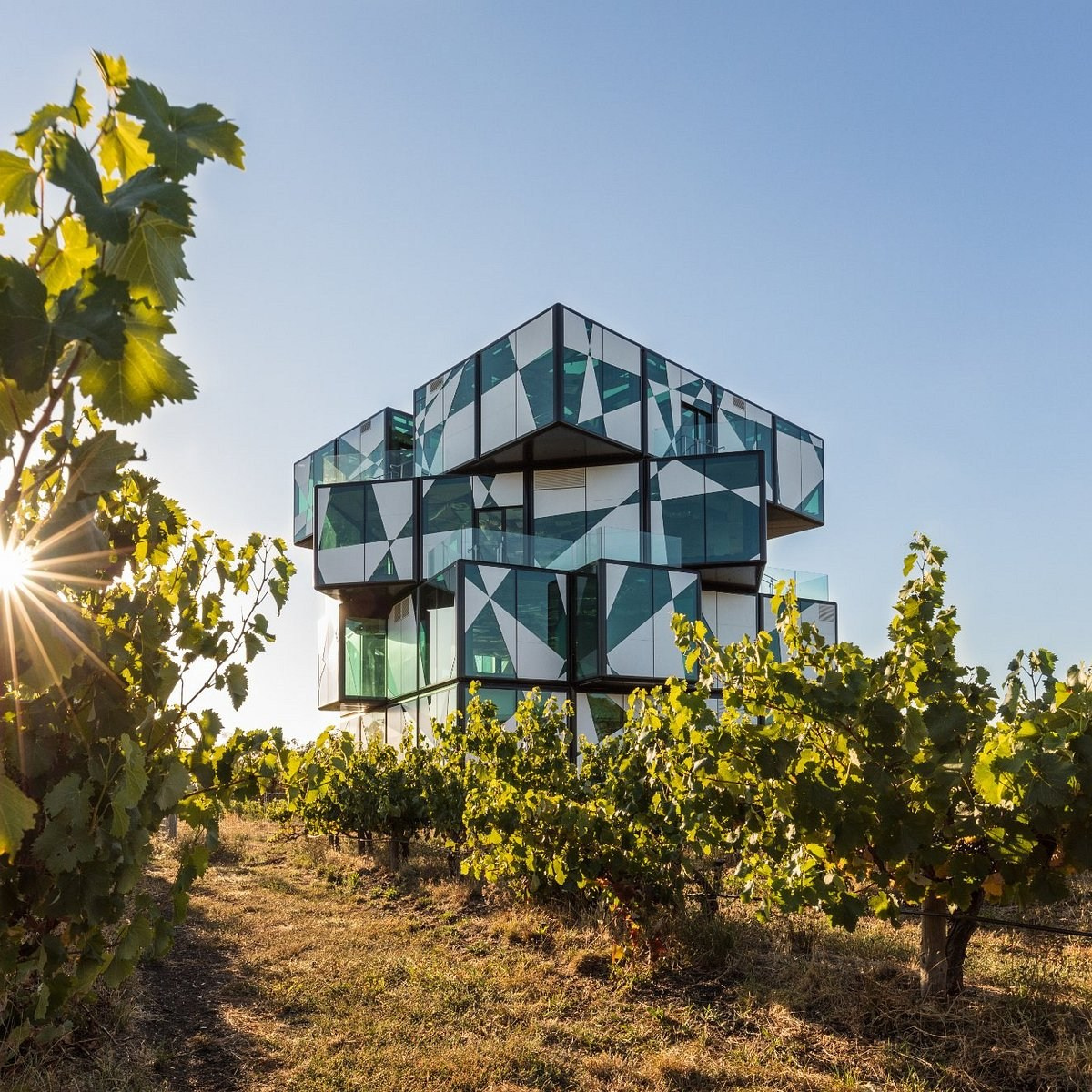 D’Arenberg Автсралия. Фотограф для маркетплейсов Михаил Бове