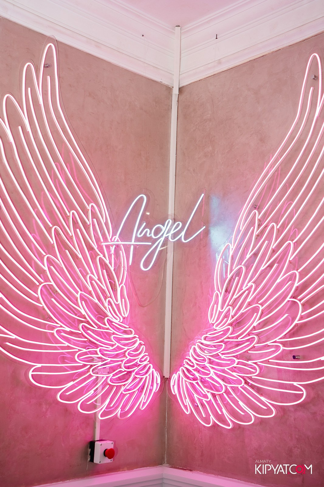 УХО И МЕДВЕДЬ НА КУРМАНГАЗЫ. КИПЯТКОМ АЛМАТЫ!