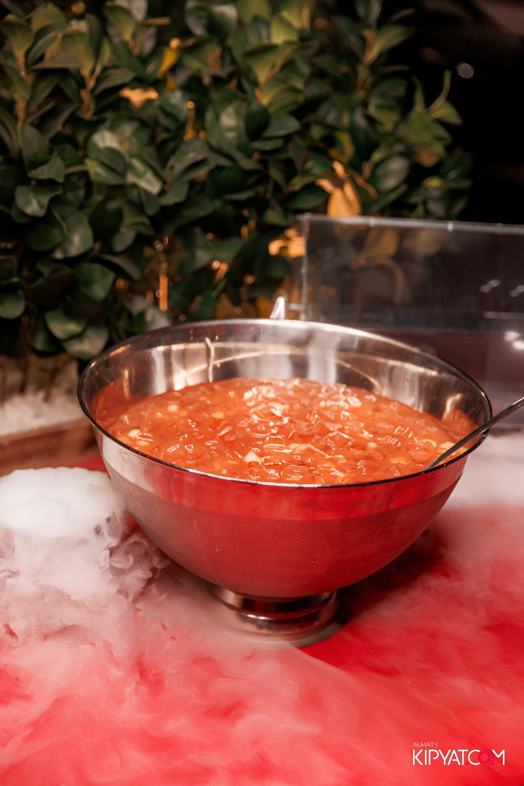 OLOVO BAR НА ДОСТЫК. КИПЯТКОМ АЛМАТЫ!