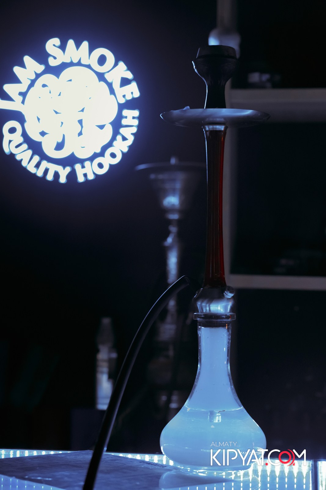 ARAGOSTA. КИПЯТКОМ АЛМАТЫ!