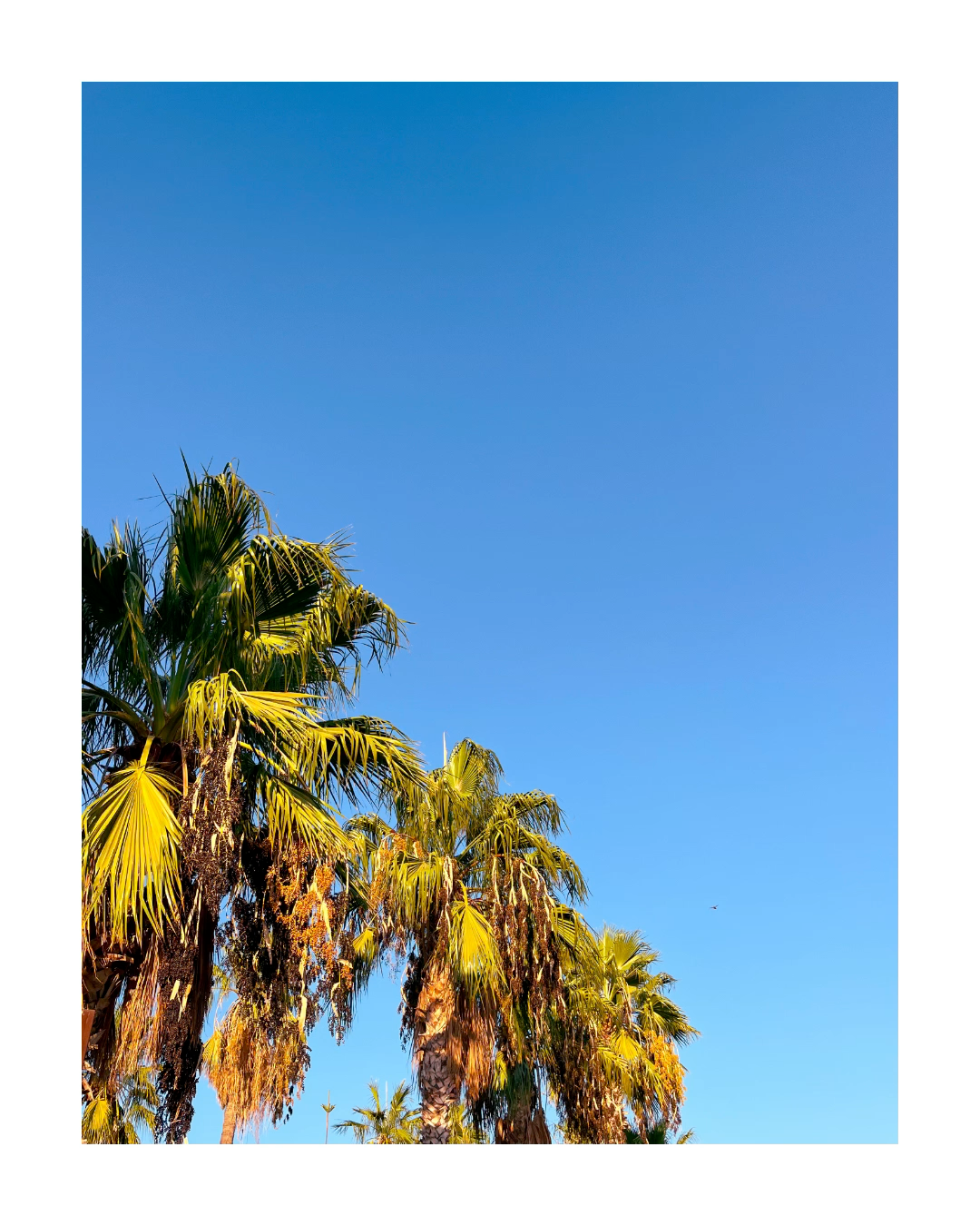 Bodrum 2024. Film and another stuff