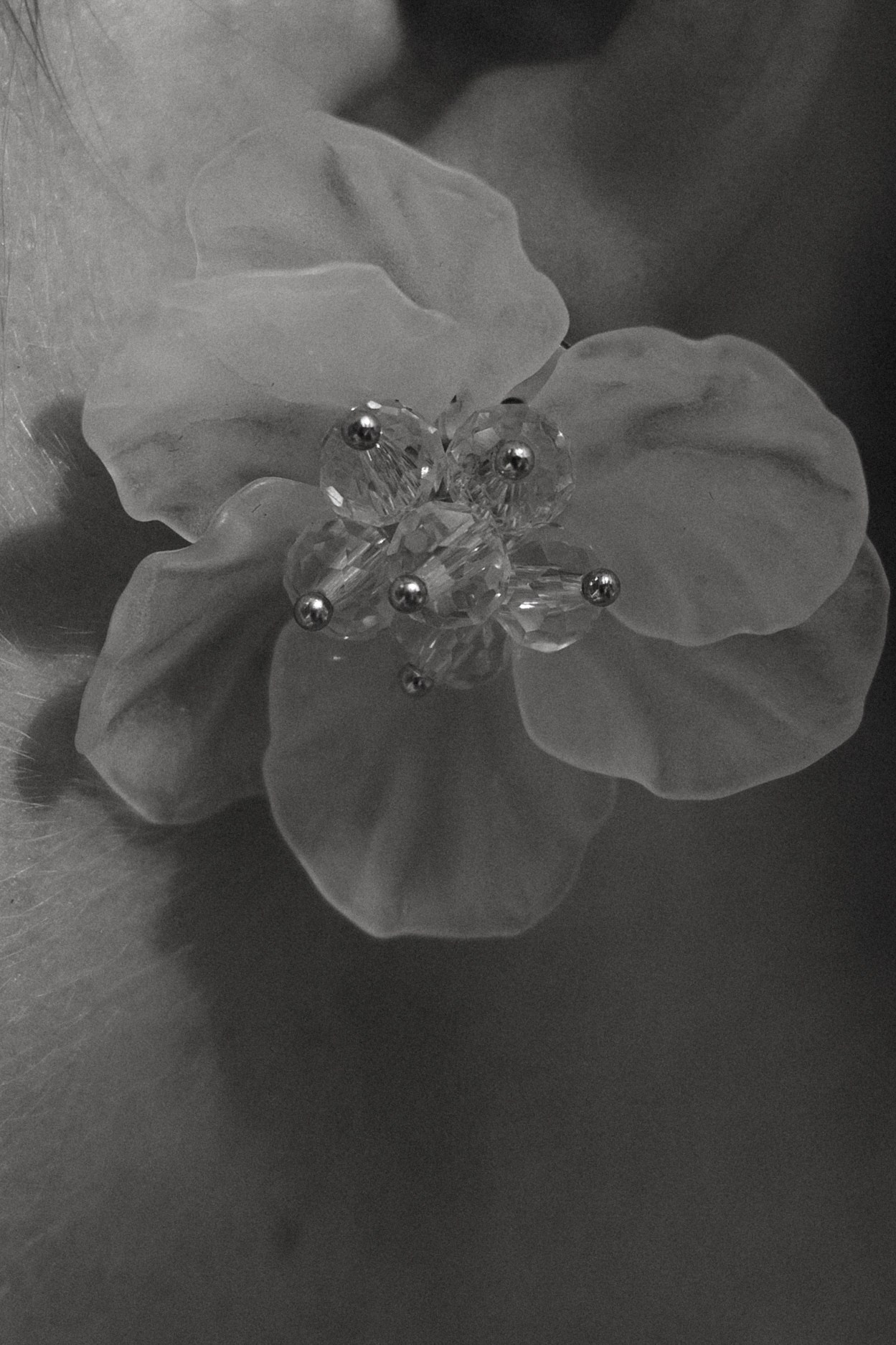 Игорь и Алина