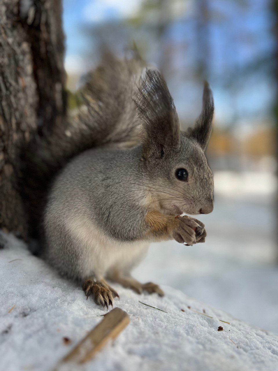 В природе. Портретный фотограф в Челябинске Катерина Руди