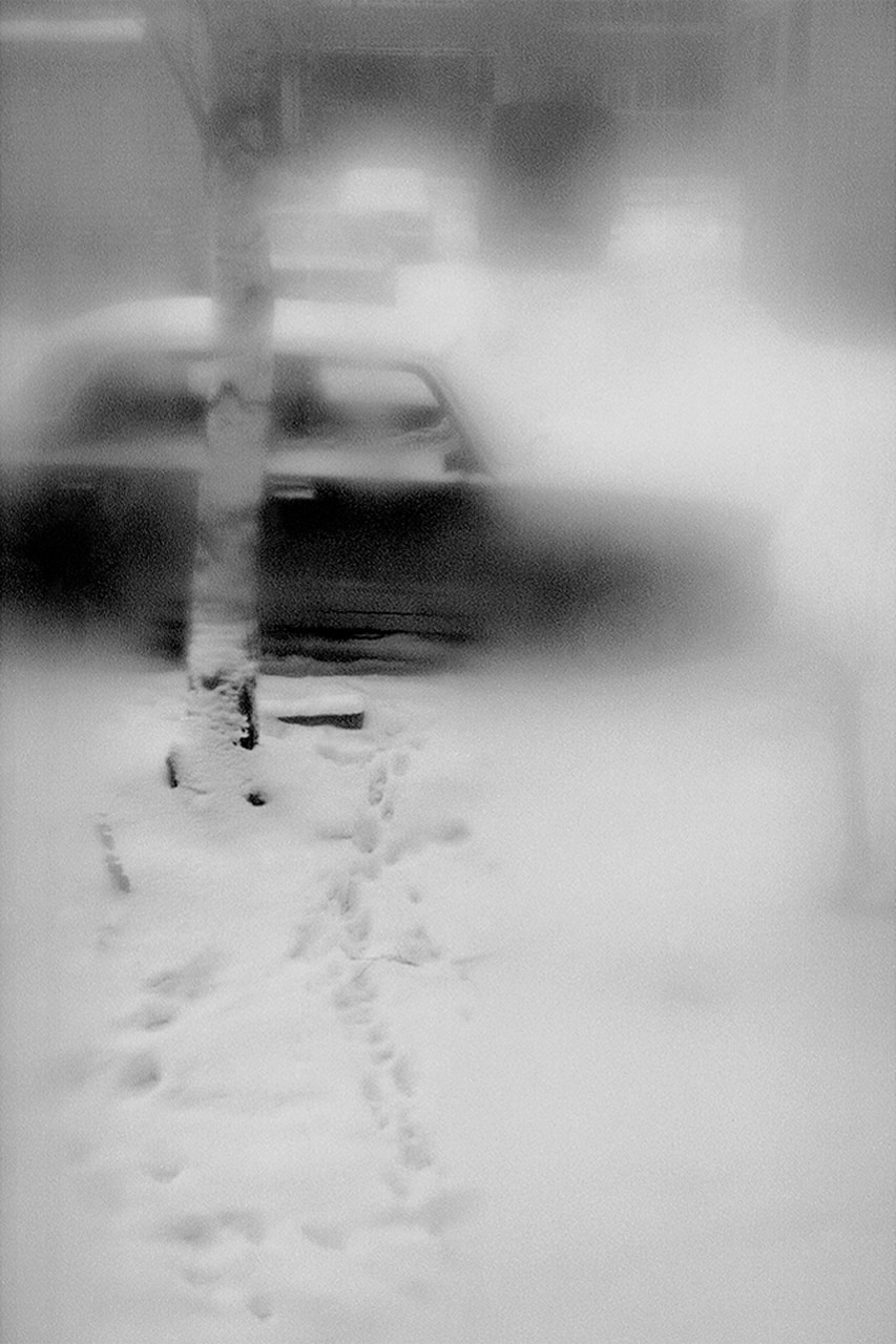 РАЗНОЕ. Андрей Пономарёв