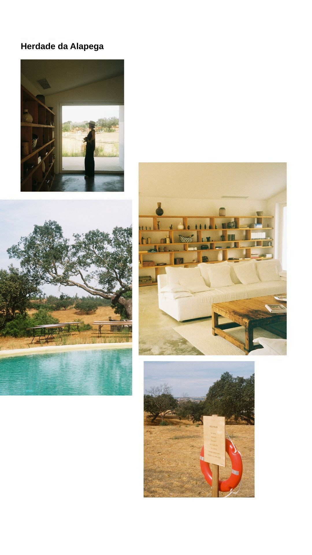 Content Creation. Rimma Kim | photo | video | content creation