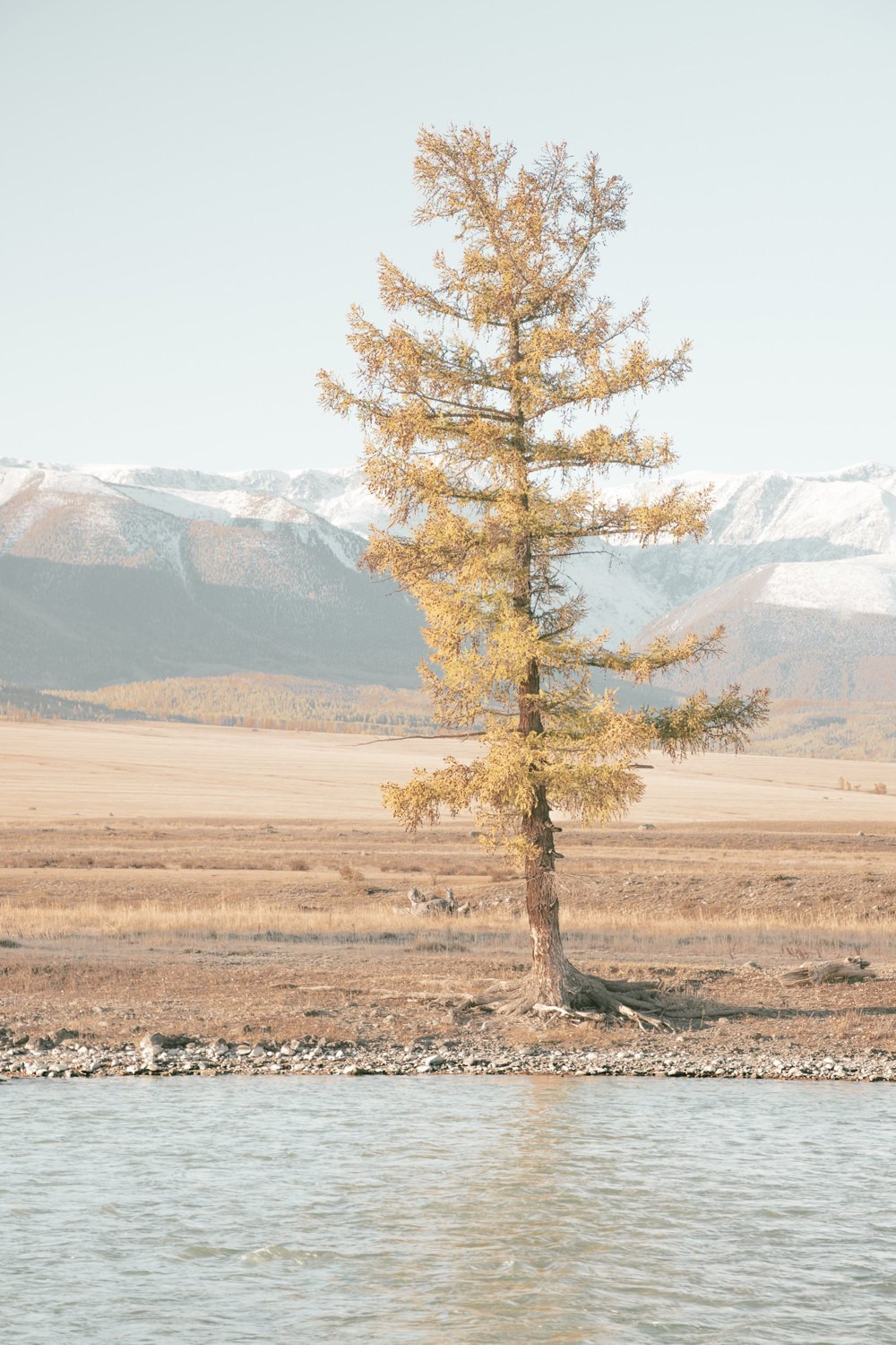 Altai Dream — personal project of photographer Vadim Sherbakov. Vadim Sherbakov Portfolio