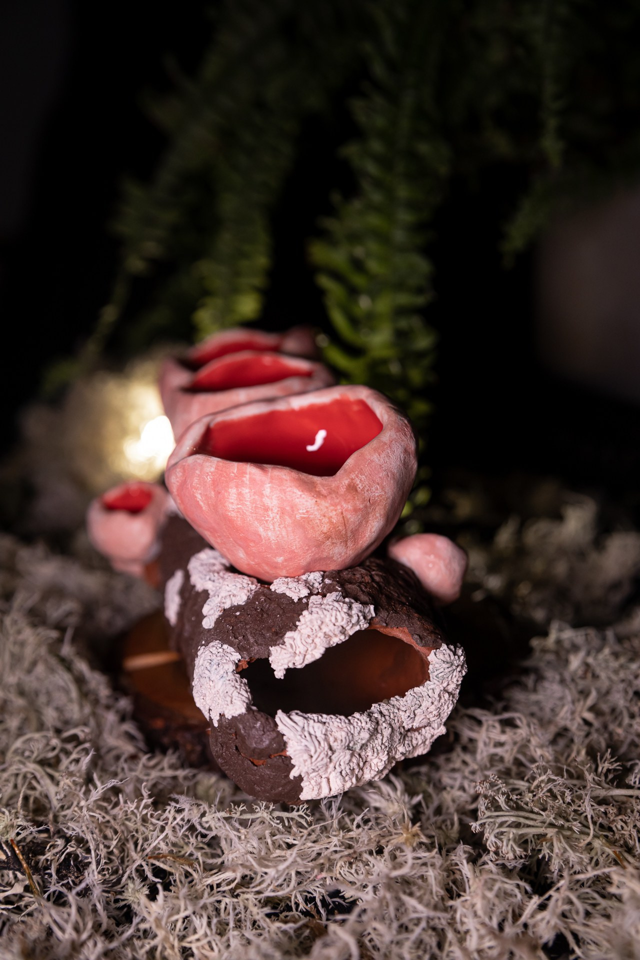 Набор «Саркосцифы» НЕТ В НАЛИЧИИ. Катя Цвет