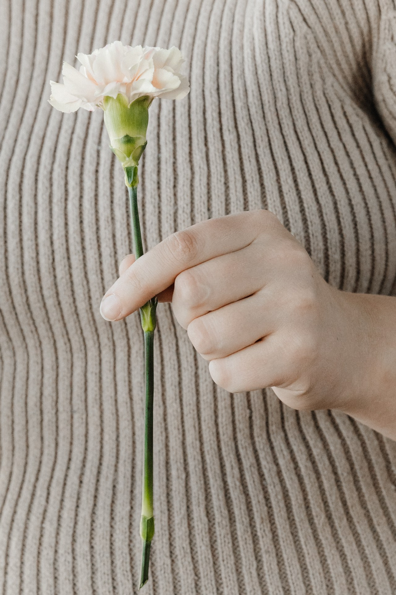 Цветочный бранч. VICTORIA SHU