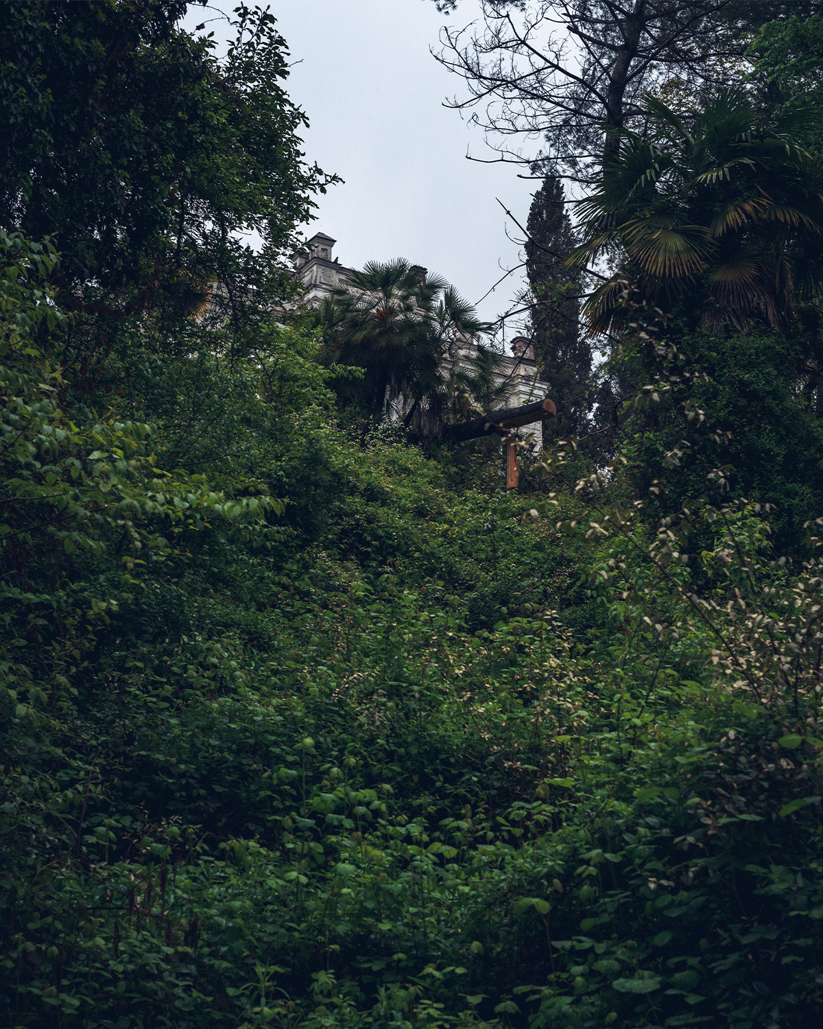 Абхазия в объективе: путешествие рекламного фотографа из Гуанчжоу. Коммерческий и предметный фотограф в Гуанчжоу Коваленко Александр