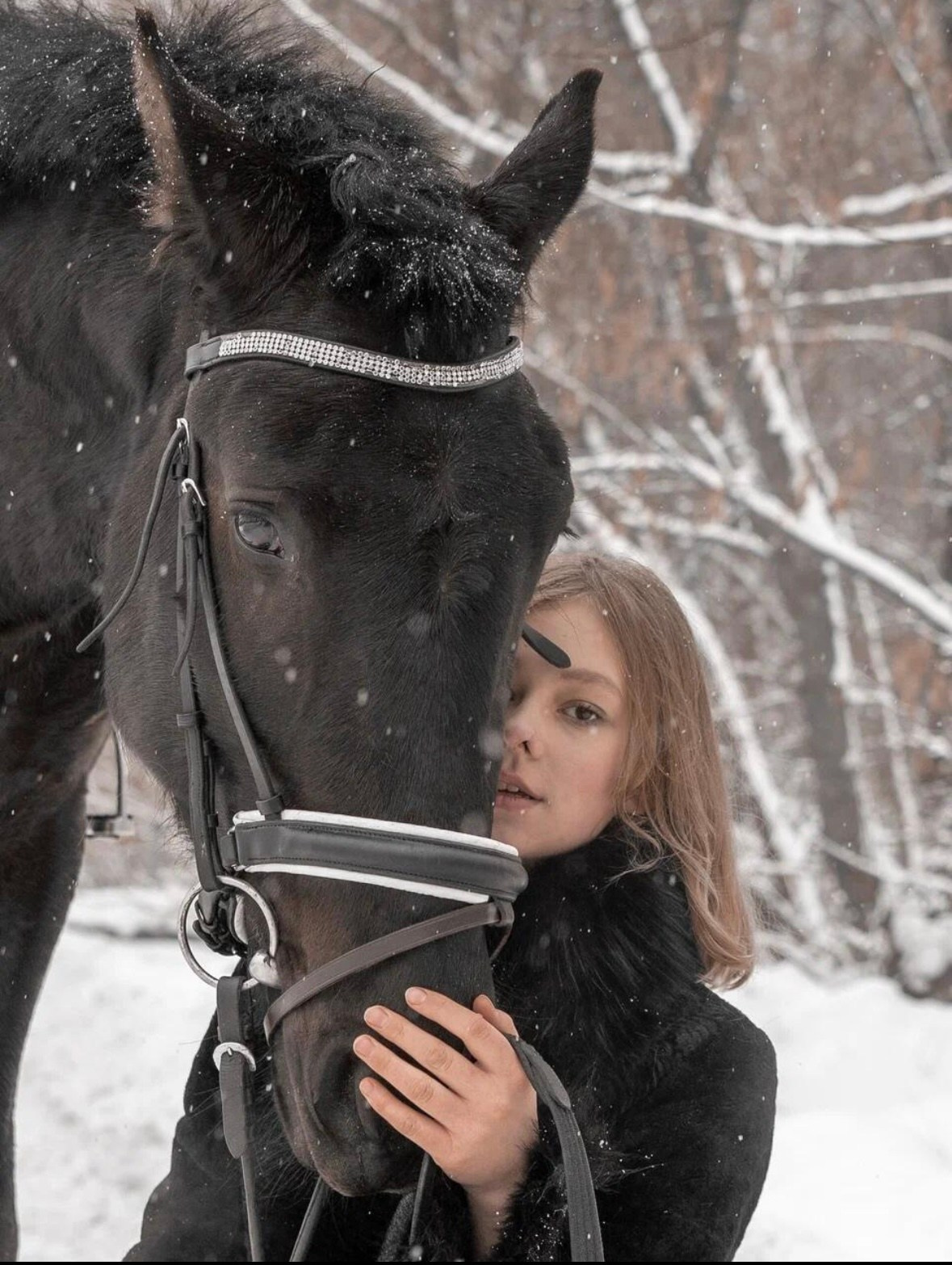 Лошадки зима. Фотограф Зинаида Евдокимова