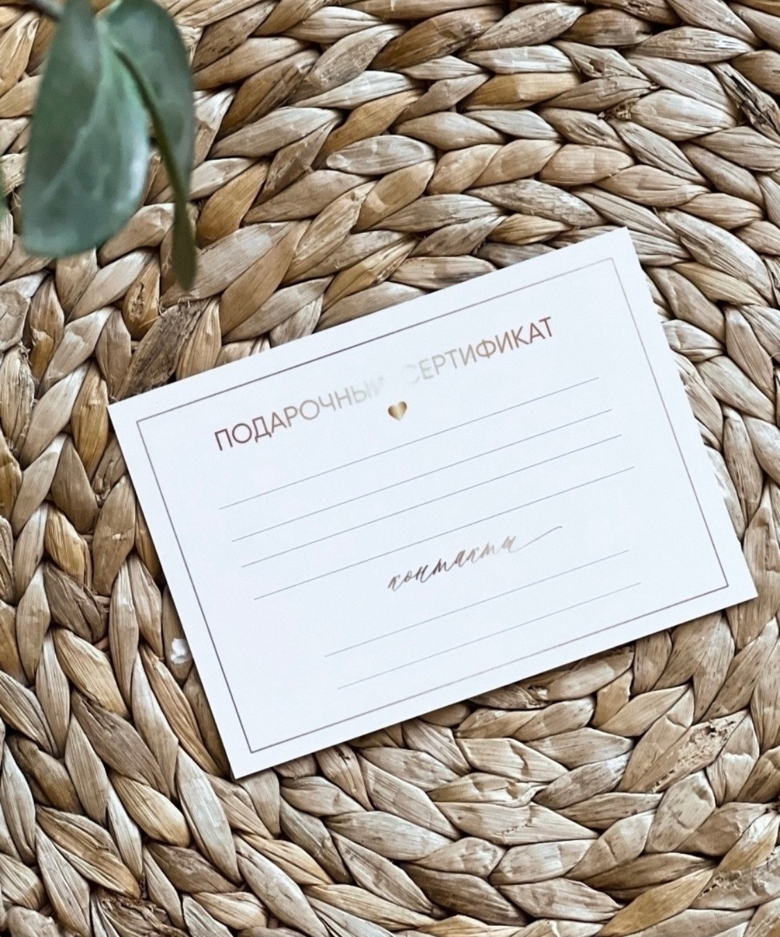 Стоимость услуг. Семейный и женский фотограф в Москве Доминова Елена