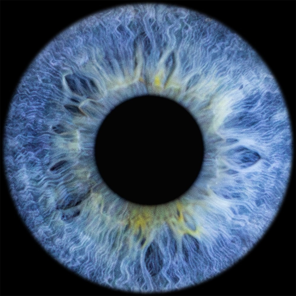 Радужка глаза — фотостудия. Фото радужки глаза LOOK IN