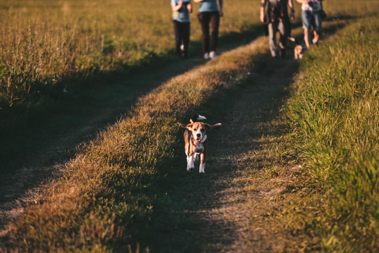 Wallpapers. Фотограф Казань