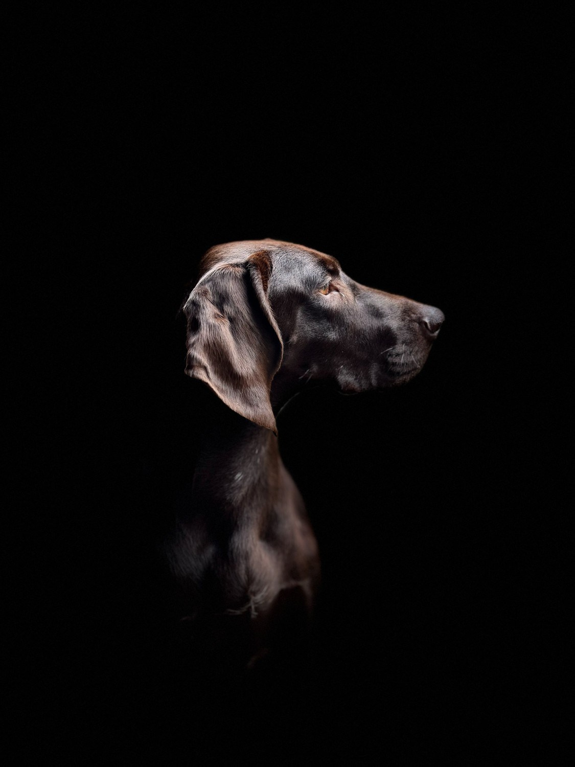 Профессиональный свадебный фотограф в Сочи для вашего идеального дня. Свадебный фотограф в Абхазии, Сухум, Гагра, Сочи