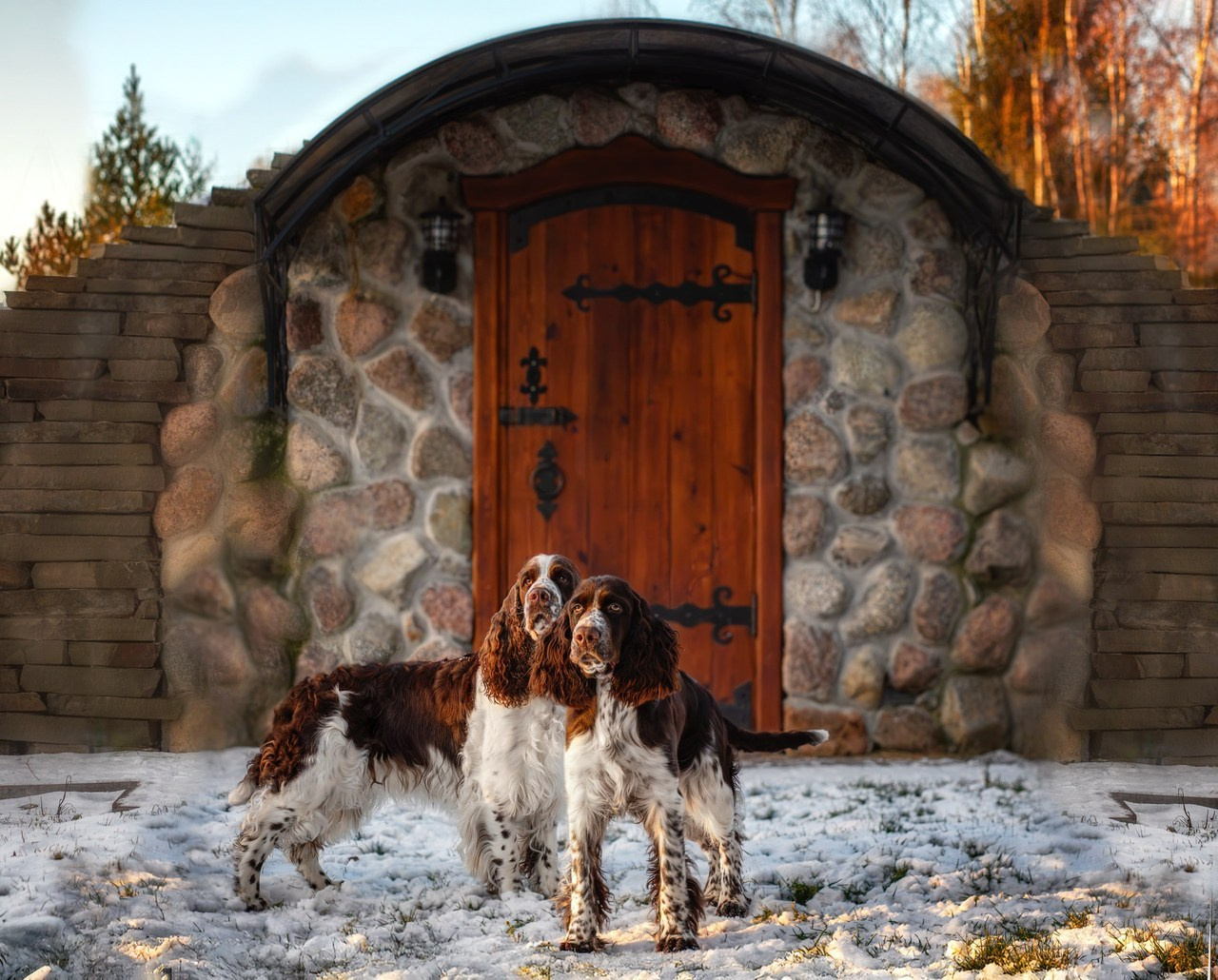 Отзывы. Фотограф-анималист Юлия Зубкова