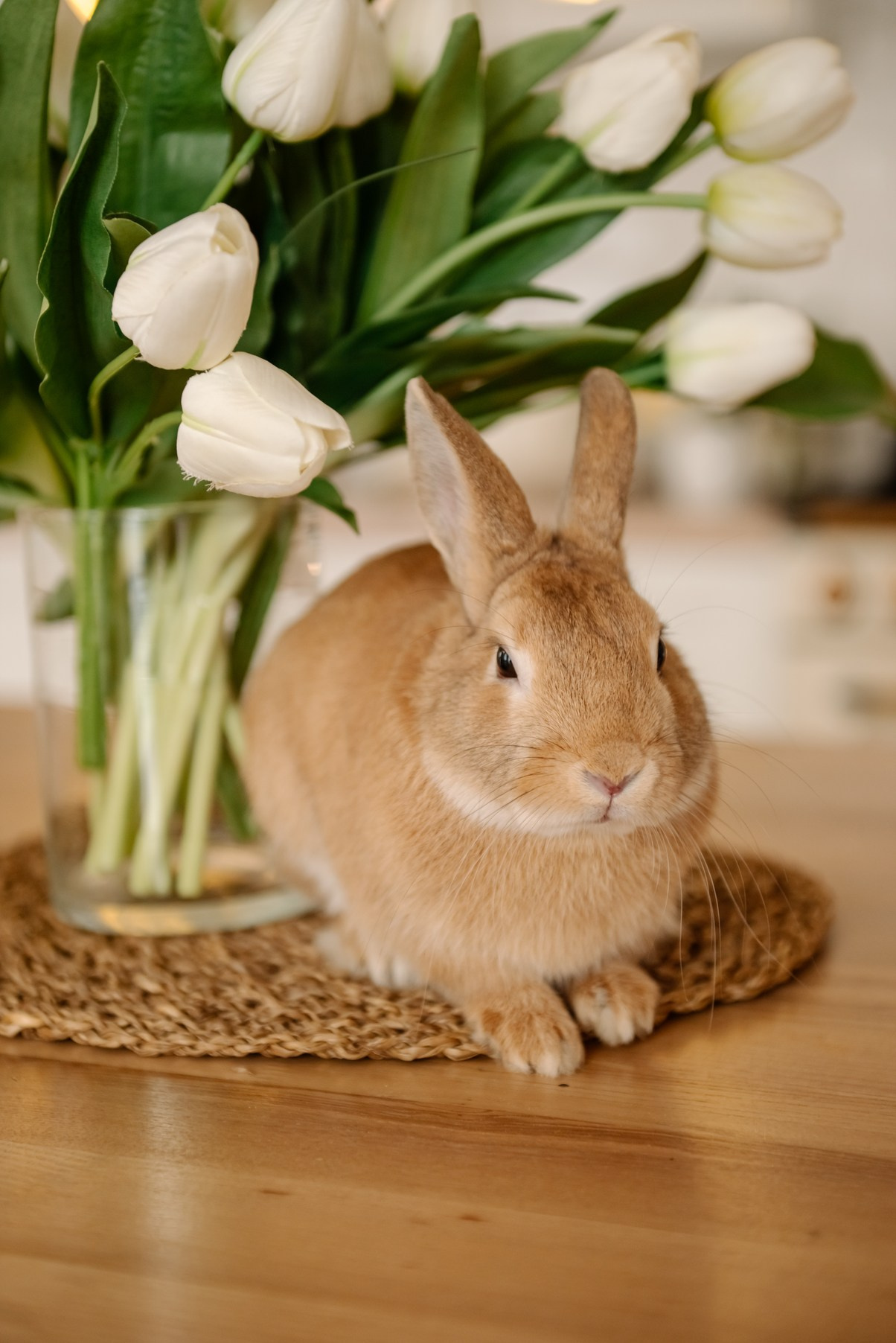 Семейная. Пасха с цыплятами. Свадебный и сеейный фотограф в Санкт-Петербурге Елена Худякова