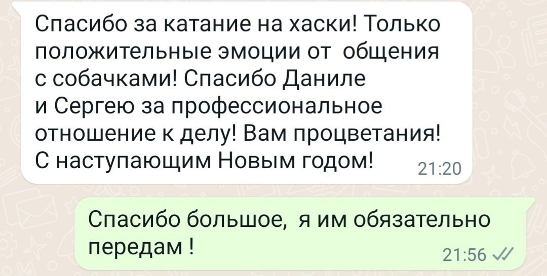 Катание на хаски в Спб