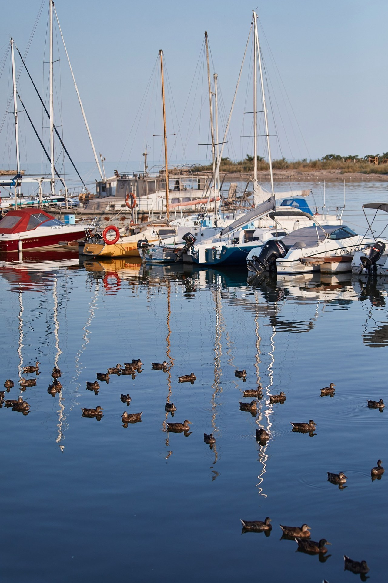 Отзывы о моей работе. Свадебный фотограф Ерхов Антон