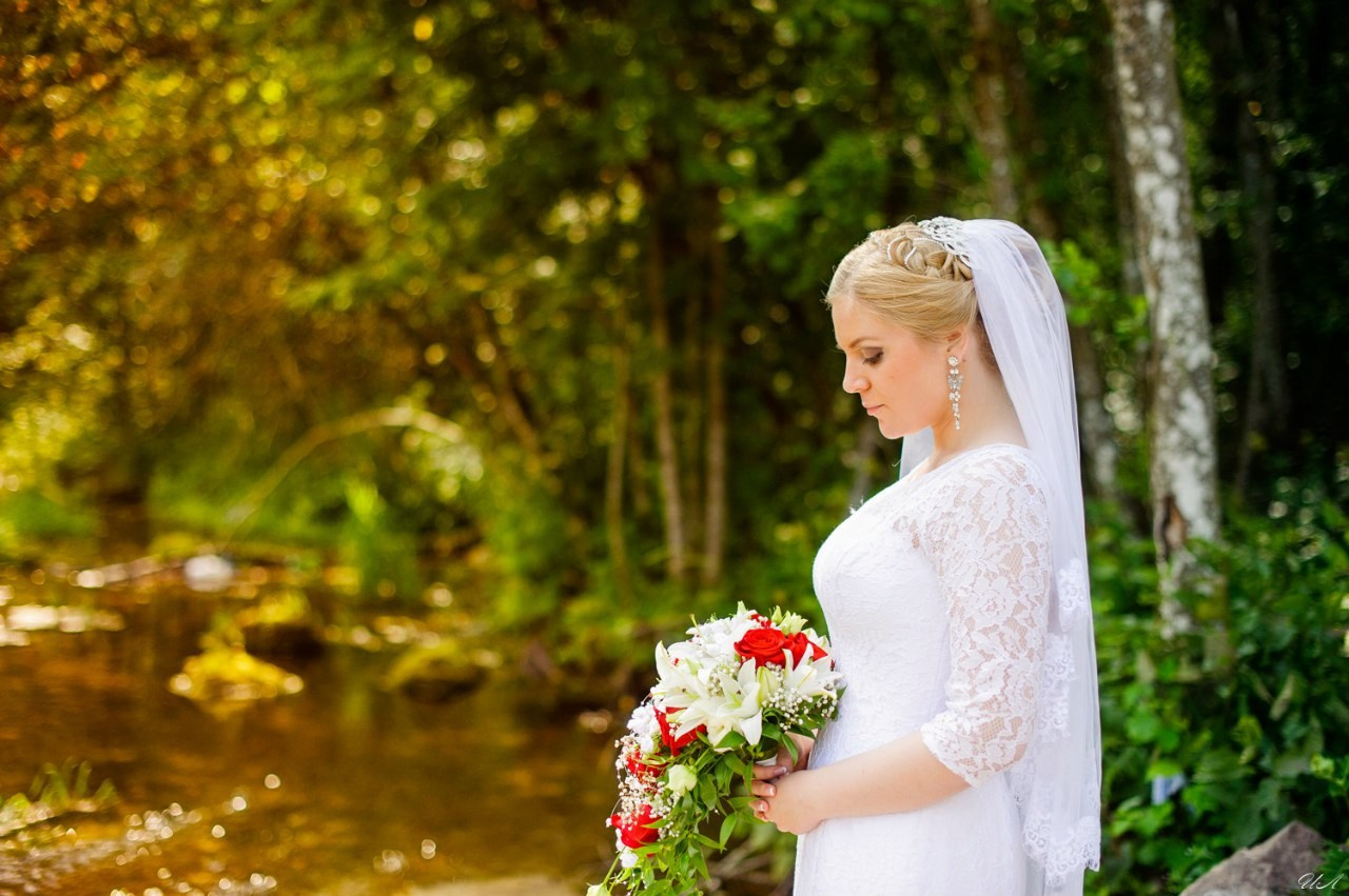 Свадьбы. Кингисепп, Ивангород