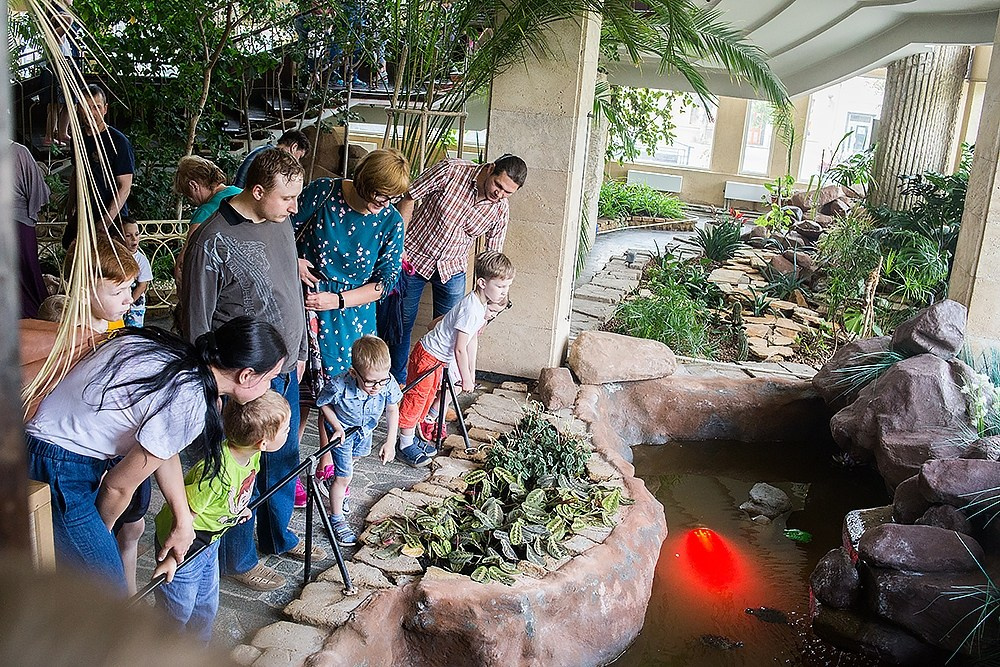 Благотворительный показ ТЮЗ. Детский и семейный фотограф, фотограф мероприятий Нижний Новгород