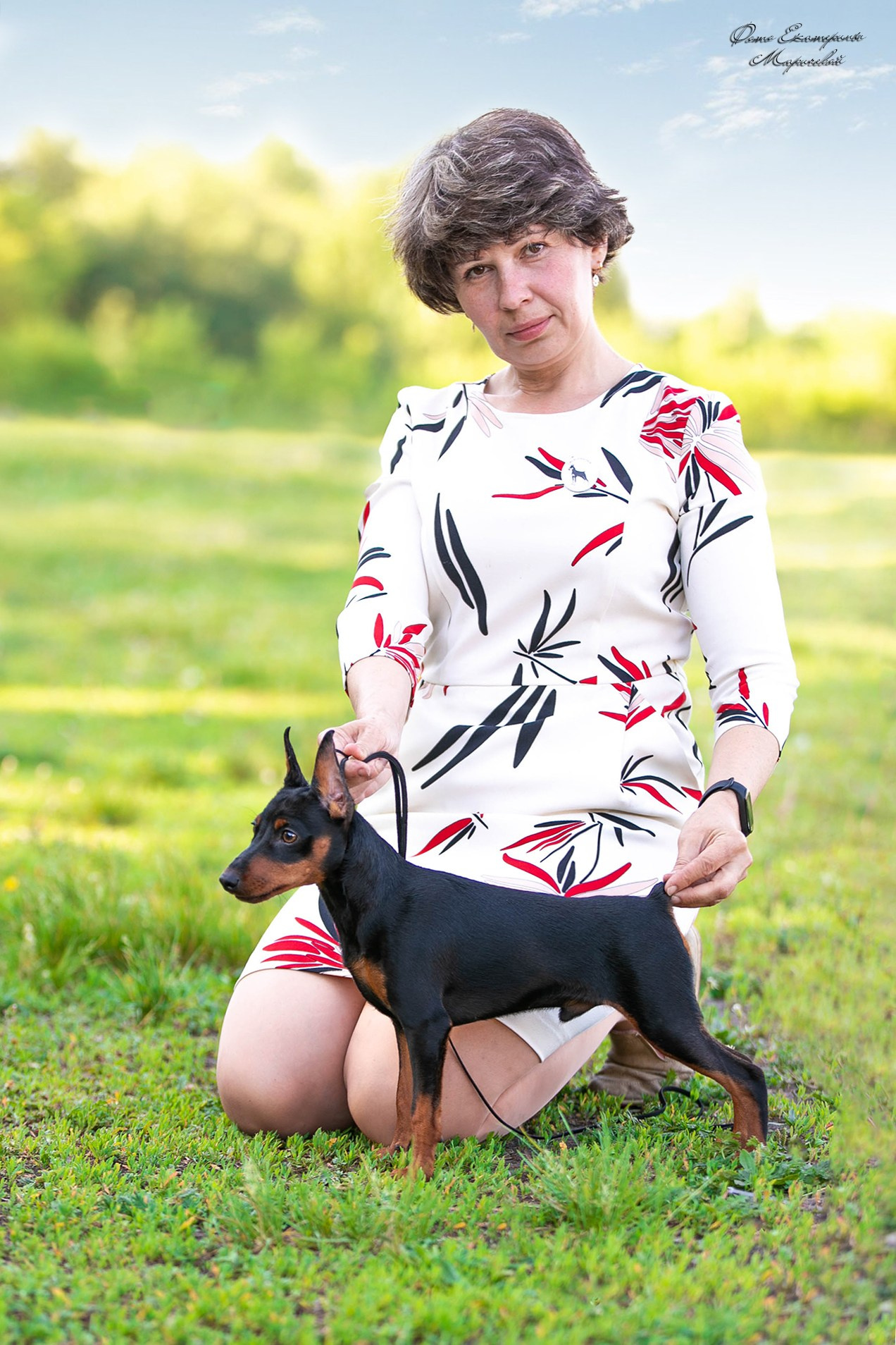 Заринговая съёмка на выставках собак. Фотограф-анималист в Омске Екатерина Маричева