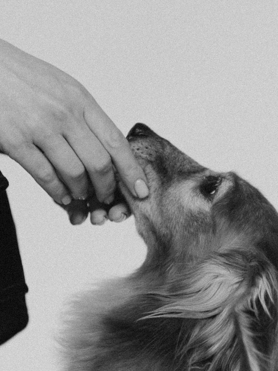 Лимон и Аня. Фотограф-анималист в Москве Кириллова Татьяна