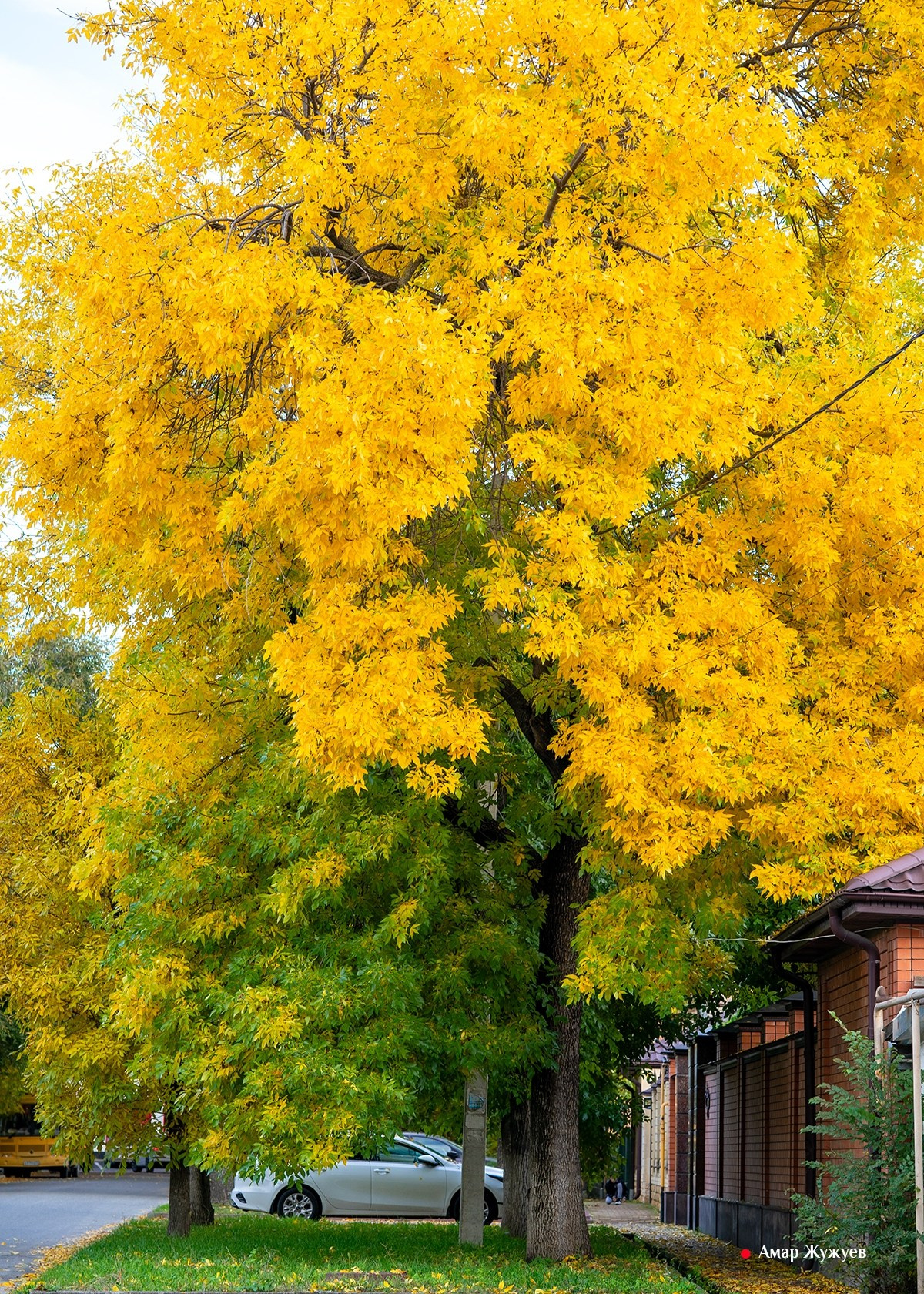 Фотографии города Черкесска. Фотограф из Черкесска Амар Жужуев