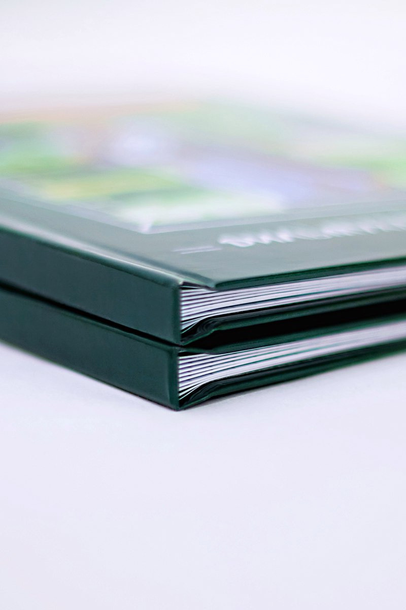 ФОТОАЛЬБОМЫ для 11 классов. Портретный фотограф Елена Матафонова Барнаул