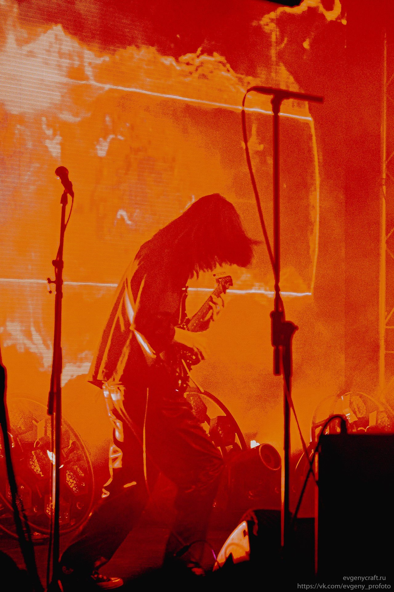 Dolphin 14 feb 2026. EvgenyCraft