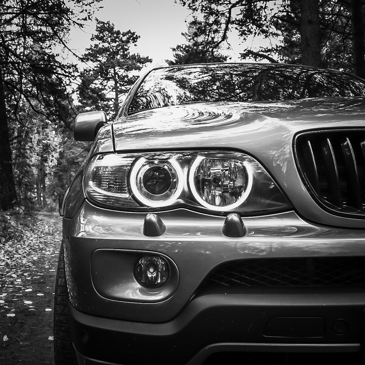 Евгения Косолапова. Фотограф и Видеограф в Томске