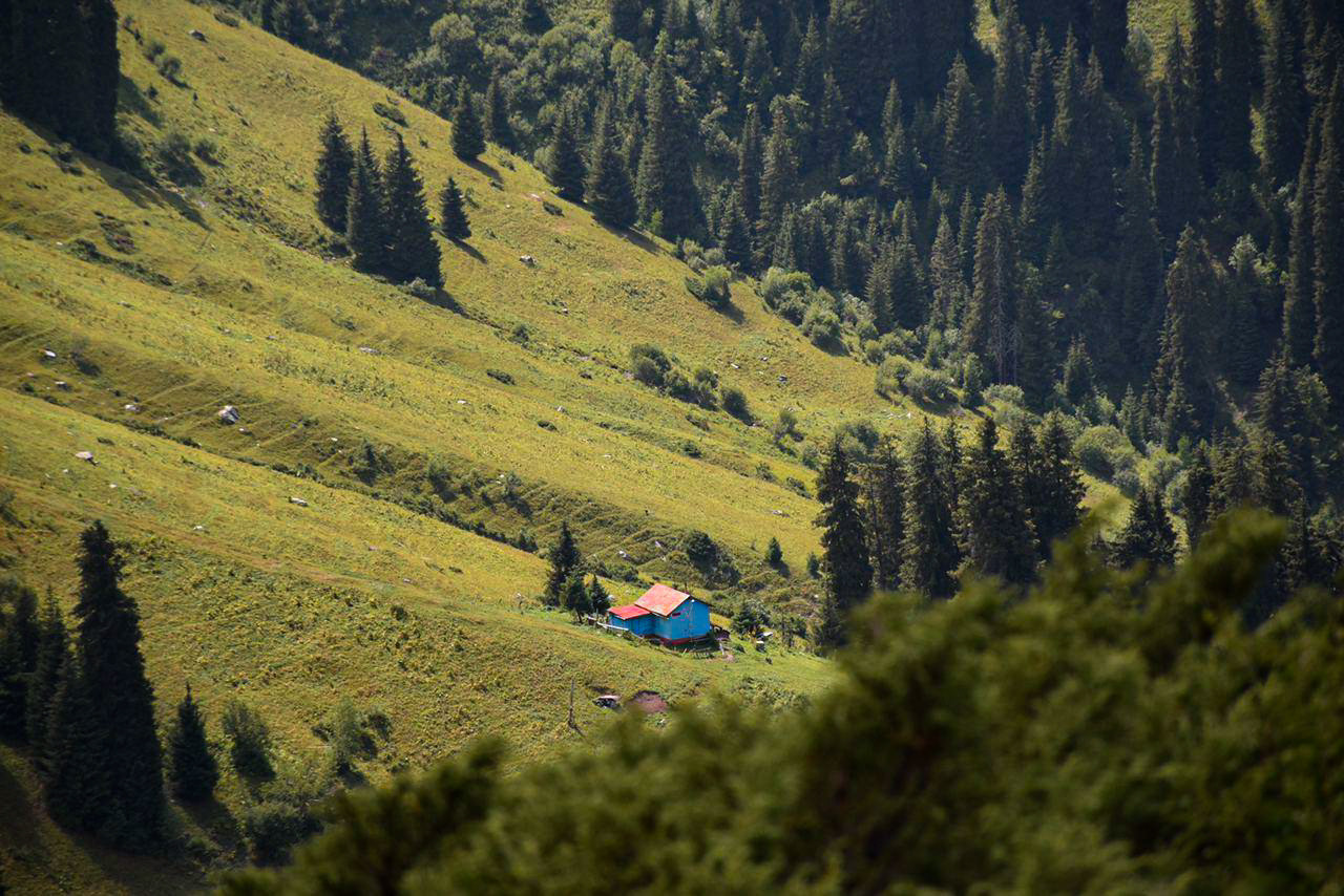 Горы. Фотограф в Алматы