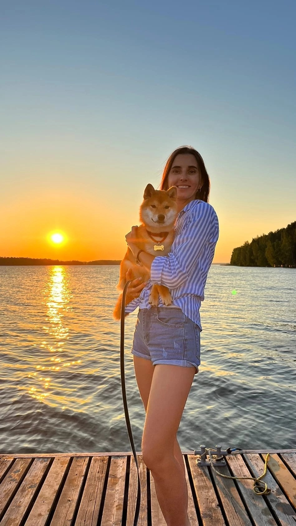 сиба питомник Рубилайт щенки на продажу rubylight  сиба щенки купить